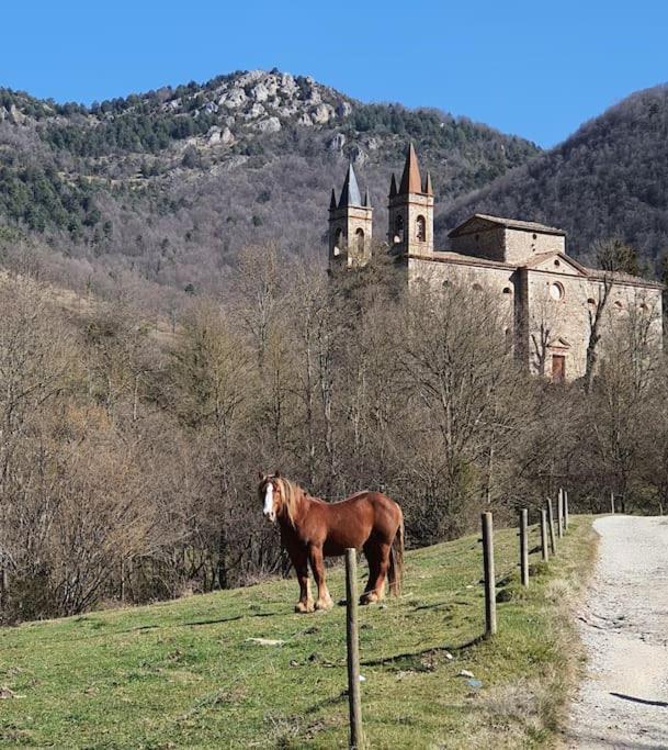 El mussol de la vila Camprodon Exterior foto